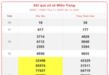 Dự đoán MT 9/12: Soi cầu kết quả Xổ Số Miền Trung 9/12/2025 CHUẨN