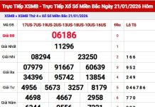 Dự đoán xổ số Miền Bắc ngày 22/1/2026 Thứ 5 Siêu Chính Xác